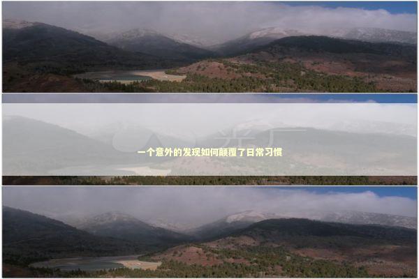 一个意外的发现如何颠覆了日常习惯 一个意外的发现如何颠覆了日常习惯 新闻