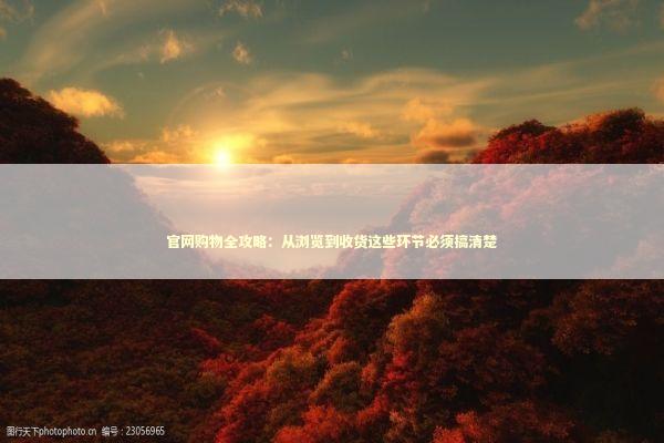 官网购物全攻略：从浏览到收货这些环节必须搞清楚